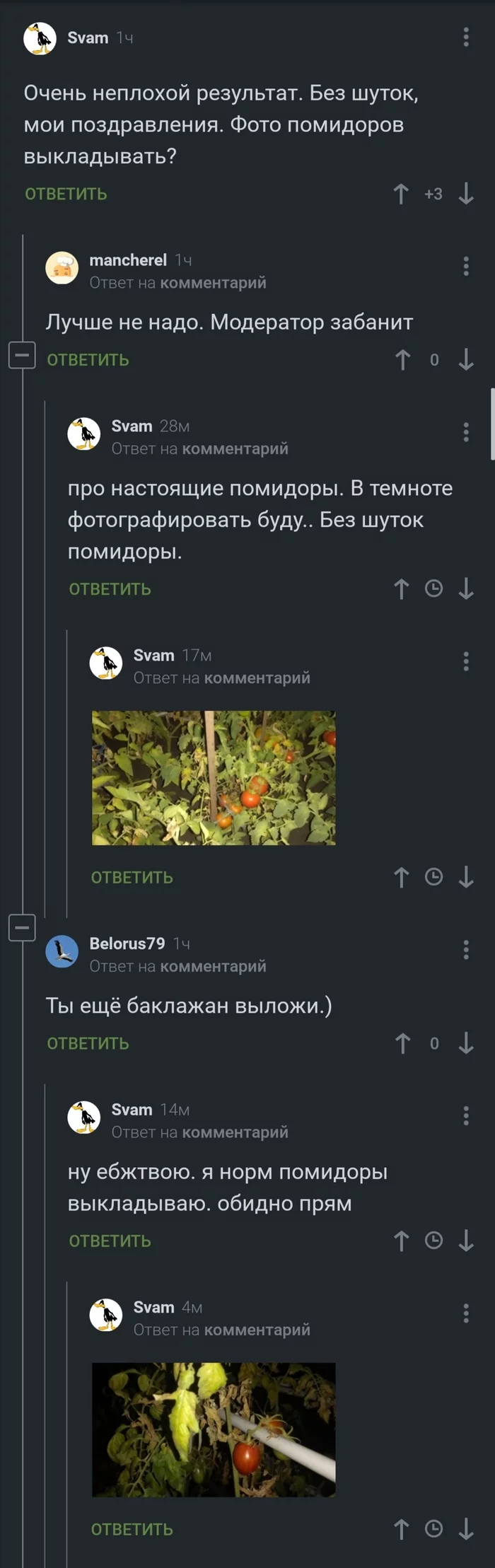 What are they thinking? - Comments on Peekaboo, Screenshot, Agronomy, Tomatoes, Ambiguity, Longpost