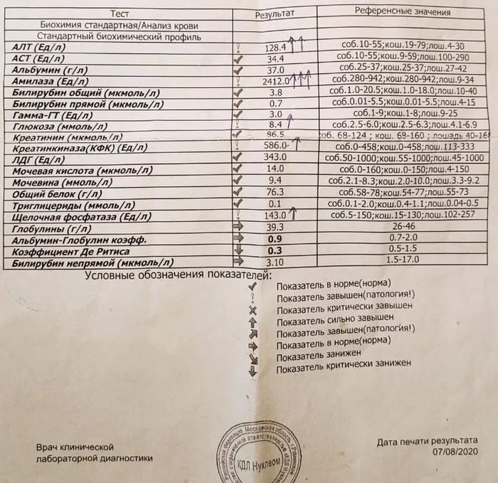 Прошу совета. Болеет член семьи - Моё, Негатив, Медицинские анализы, Кот, Помощь, Длиннопост