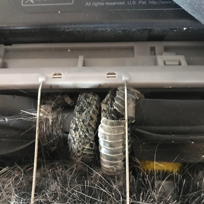 Сложности владения роботом-пылесосом в Австралии