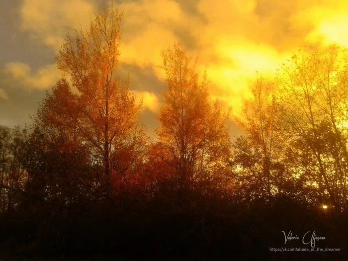 Poem dedicated to autumn - My, Autumn, Golden Time, Poems, First day of autumn, Poetry, Longpost