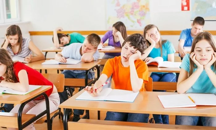 The Russians told what lessons they disliked most at school - news, School, Studies, Education in Russia, Education, Lesson, Items, Suddenly, Negative, Longpost, Students, Teacher, Teacher, Russia, Analytics, Knowledge, September 1