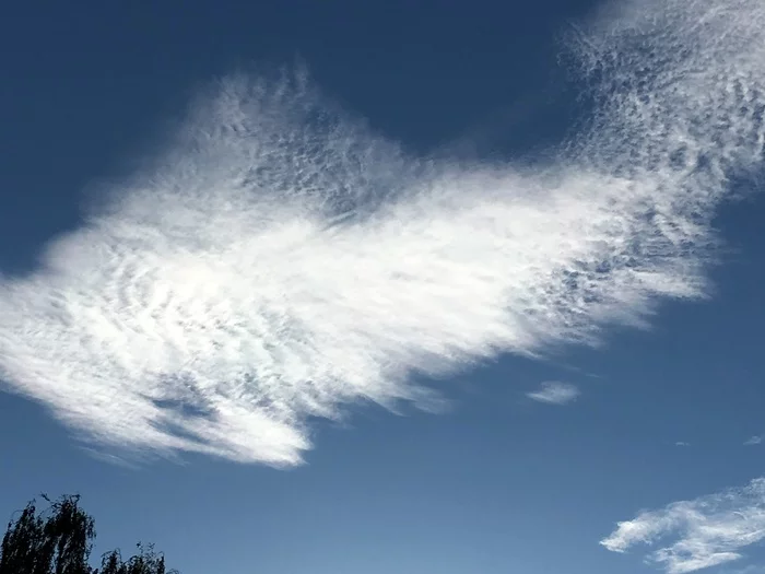 angel wing - My, Clouds, beauty, Nature, beauty of nature, The photo, Survey