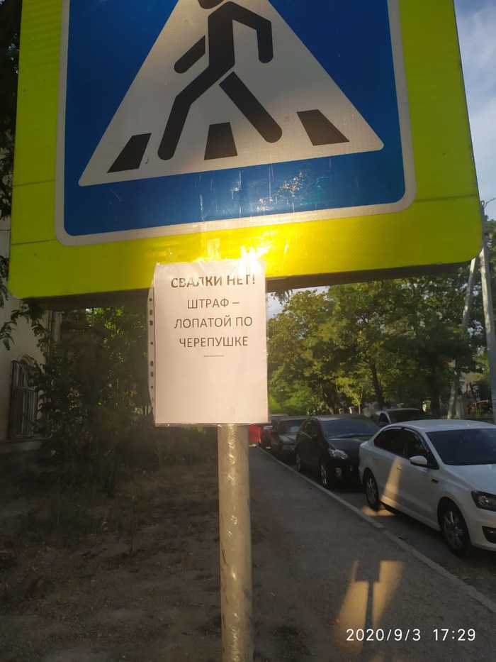 ����� ������ �������