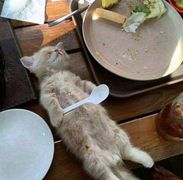 Ïåðååë