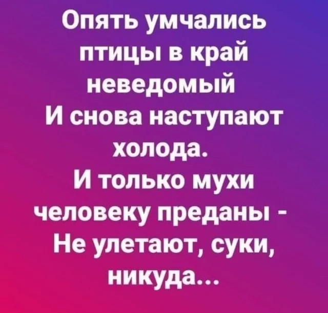 Осенние стихи - Юмор, Картинка с текстом, Стихи, Осень, Птицы, Холод, Муха, Одноклассники