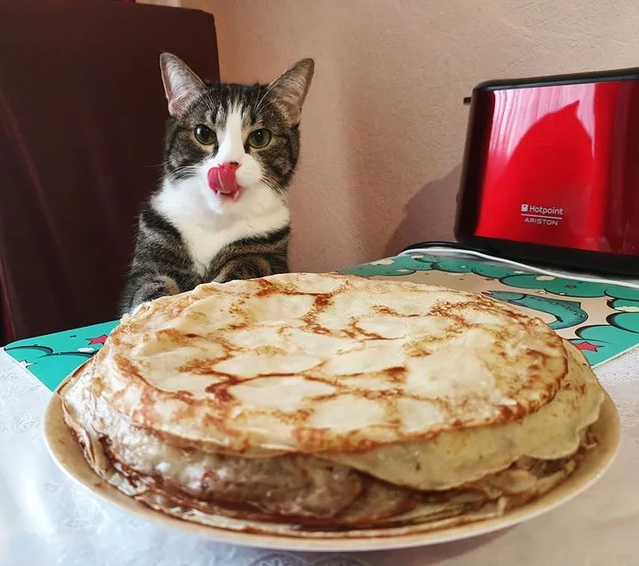 Yum - cat, Pancakes, Bueno