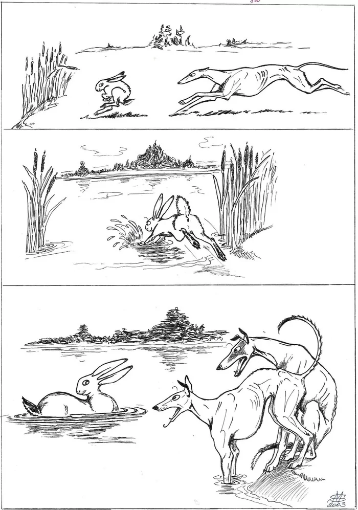Mimicry - Comics, Without words, Humor, Disguise, Hare, Pelican