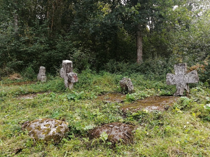 Продолжение поста «Ответ KOT268 в "Заколоченная Россия. Побывал на Псковщине. " Обратная сторона медали» Псковская область, 2020, Провинция, Заброшенное, Псков, Длиннопост