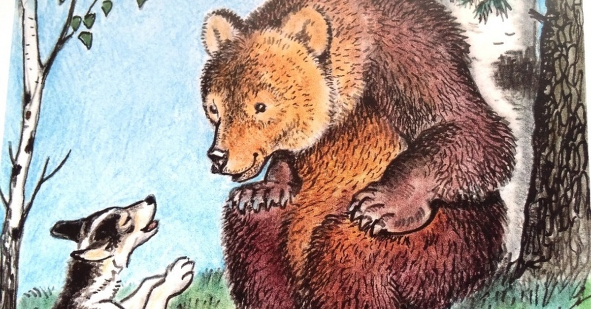 Давным давно в лесу жила собака сказка. Полкан и медведь сказка. Медведь и собака сказка. Медведь иллюстрация. Мордовская сказка как собака друга искала иллюстрации.