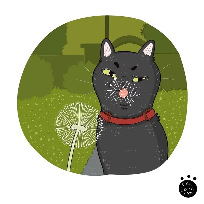 Одуван - Кот, Одуванчик, Рисунок, Tactooncat