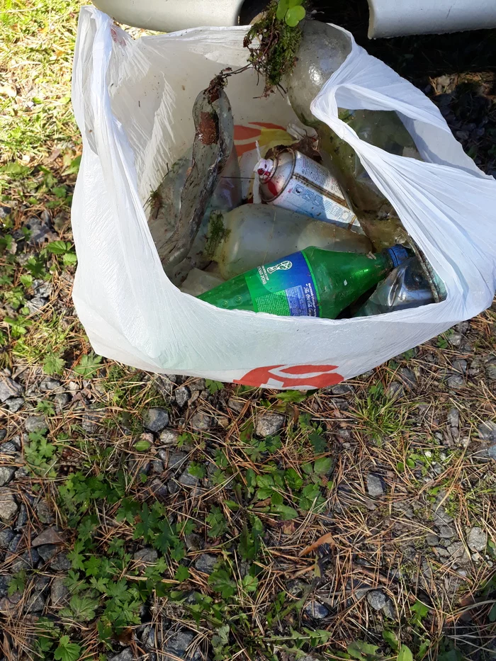 Garbage collection, Ekaterinburg, Moscow Forest Park, No. 4 - My, Pure Man's League, Yekaterinburg, Separate garbage collection, Longpost, Moscow Forest Park