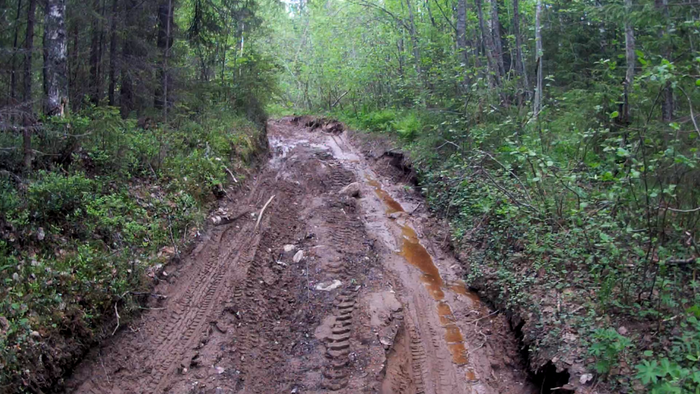 80 км пешком. снежное искусство саймон бек. дорога в пиренеях. 80 км пешком. пешком по дороге.