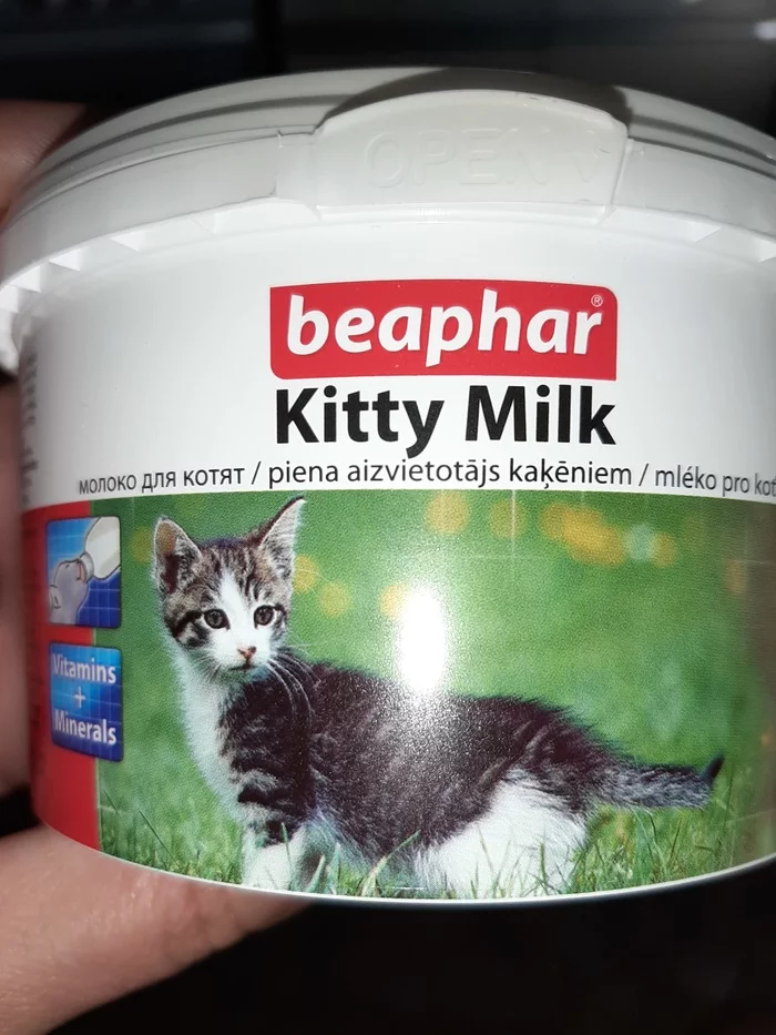 Seals - cat, Kittens, Dried milk, Cat's food, I will give, Minsk