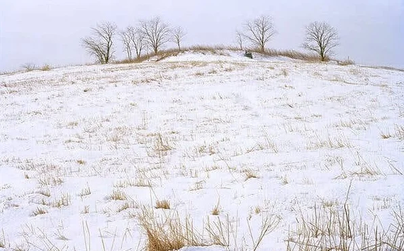 From trash heap to oasis - Ecology, New York, USA, Garbage, Dump, The park, Longpost