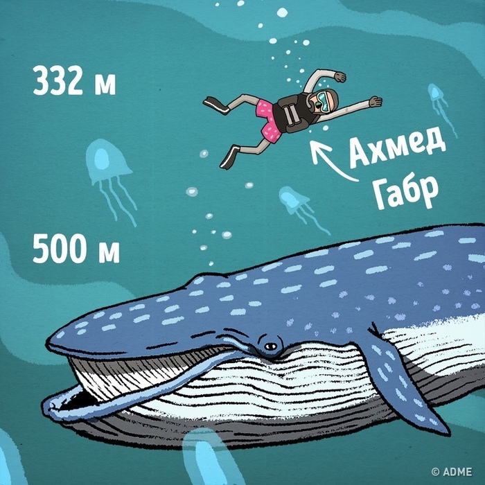 Какое давление возникает на глубине 30 метров под водой