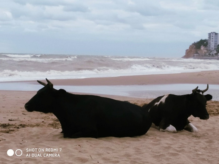 Ҹ����� �� �����