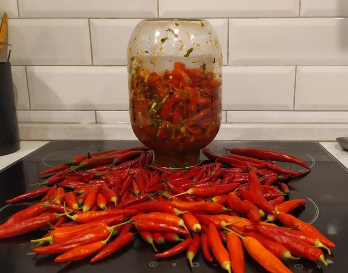 A little harvest - My, Hot peppers, Gardening, Chile, Hot pepper, Pepper, Chilli