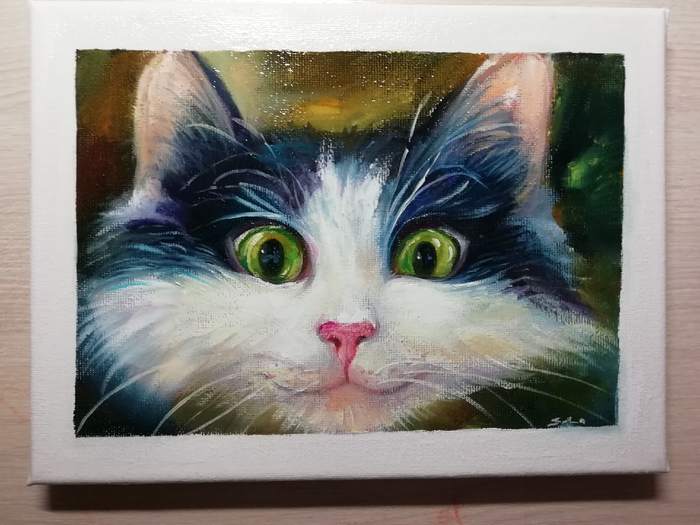 A bundle of goodness and positivity - My, cat, Drawing, Oil painting, Canvas