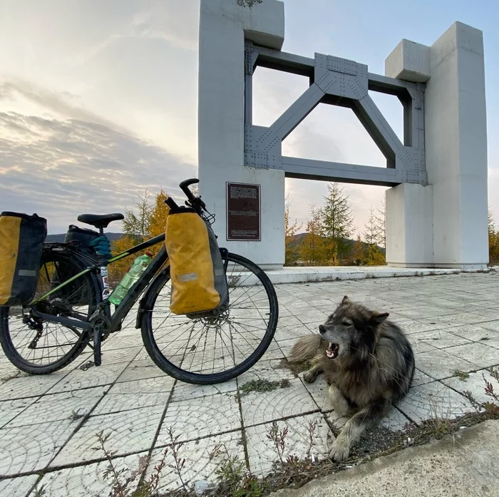 Traveler Sergey and Sharik. We ask Pikabu for help! - My, No rating, Dog, Vet, Airplane, Republic of Belarus, Magadan, A bike, Help, Longpost