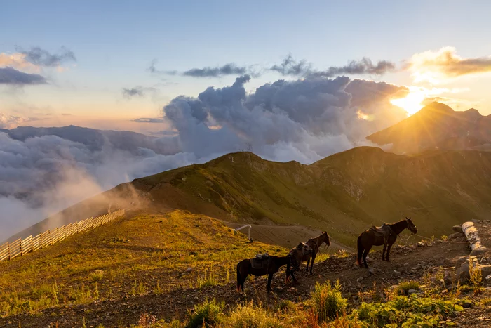 Sunset at Aibga III peak - My, The mountains, Sunset, Horses, The sun, The photo