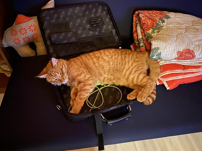 Долгая дорога во фронтэнд