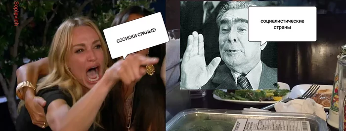 Brezhnev instead of a cat - 2 - My, Brezhnev, Humor, Memes, Leonid Brezhnev