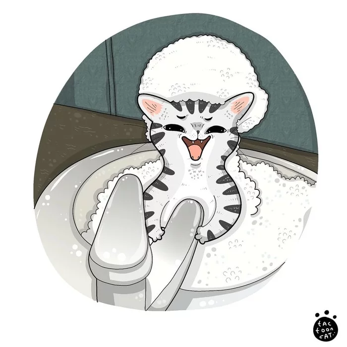 Пенная радость - Кот, Пена, Раковина, Рисунок, Tactooncat