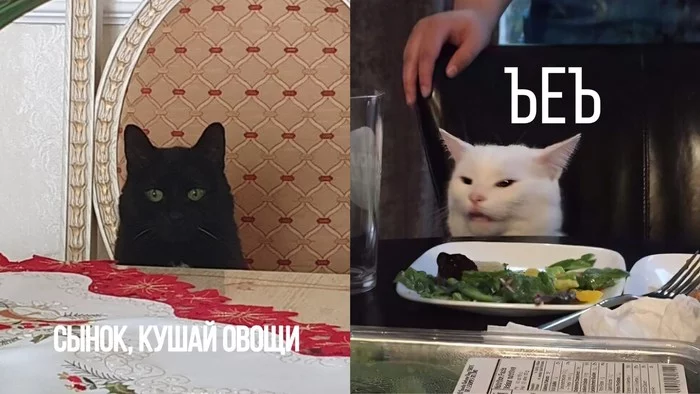 When you don't want to eat vegetables - My, cat, Humor, Memes, Parody