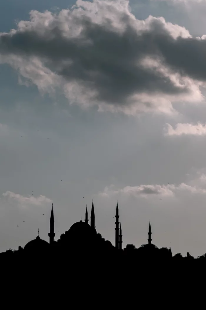 Silhouettes - My, Istanbul, Mosque, The photo, Suleymaniye Mosque