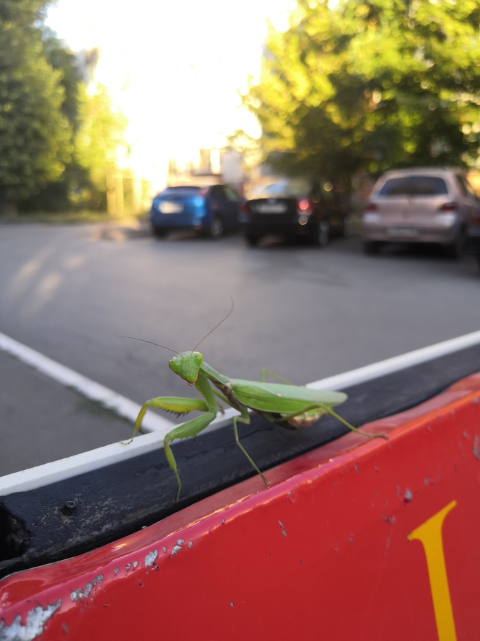 ��������� ������� � ��������� ��������