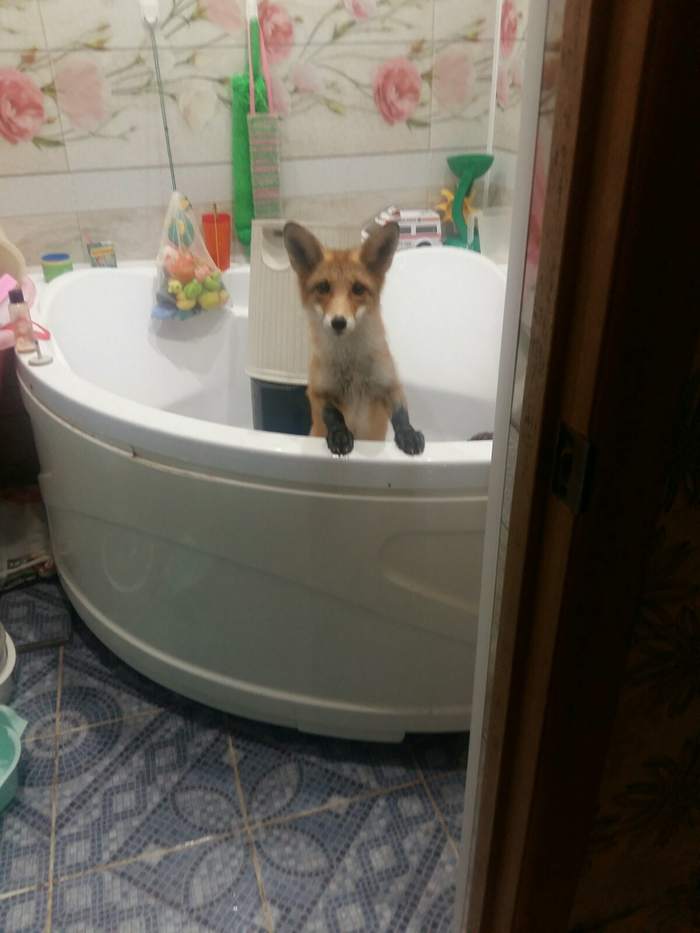  ,   - ? , ,  ,  ,  , , , 
