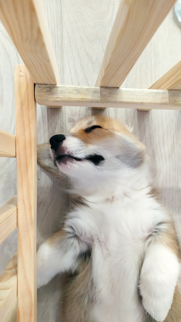   :) 2