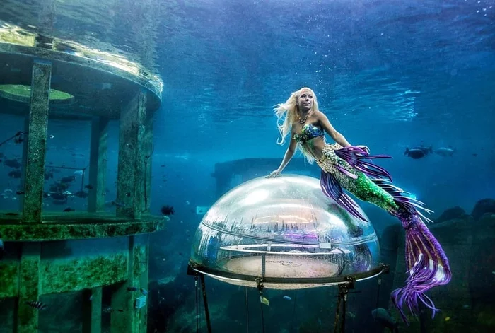 Mermaid - Mermaid, The photo, Unusual, Work, Longpost, Beautiful girl, Australia, Aquarium, Sydney