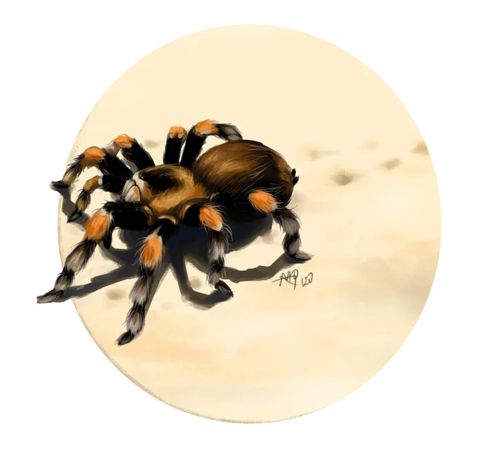 Hello arachnophobia! - My, Spider, Art, Drawing, Digital, Arachnophobia, Fear, Saint Petersburg