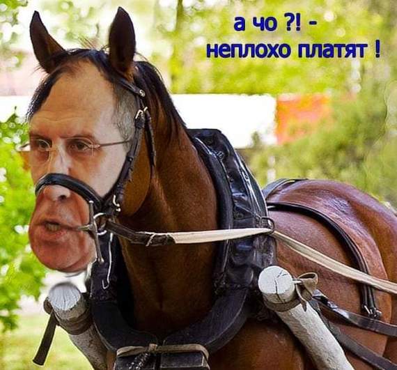 Где-то я его видел