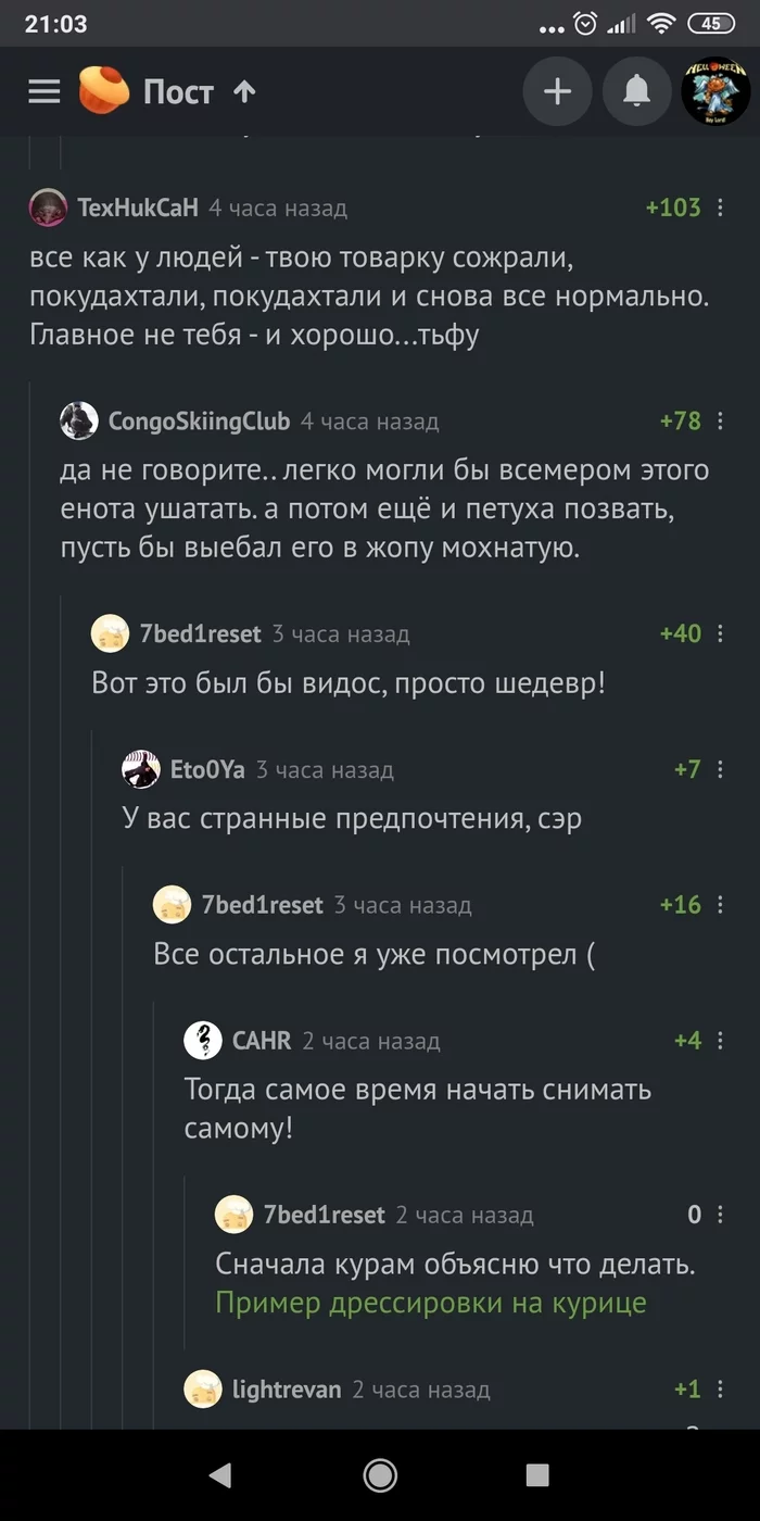 Ответ на пост «А думали лис кур таскает...» - Курица, Кража, Неожиданно, Видеонаблюдение, Курятник, Енот, Животные, Дикие животные, Ответ на пост, Комментарии на Пикабу