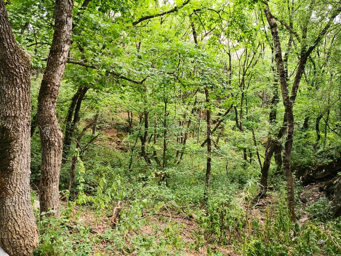 Первое путешествие в Пятигорск Пятигорск, Кавказские Минеральные Воды, Видео, Длиннопост