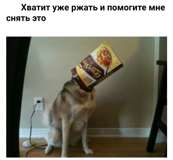 Сова в городе что делать. Смотреть фото Сова в городе что делать. Смотреть картинку Сова в городе что делать. Картинка про Сова в городе что делать. Фото Сова в городе что делать