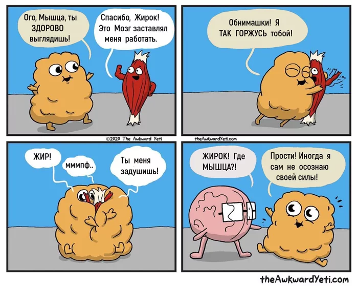 Сила жира - Комиксы, Awkward Yeti, Мозг, Мышцы, Жир, Перевел сам