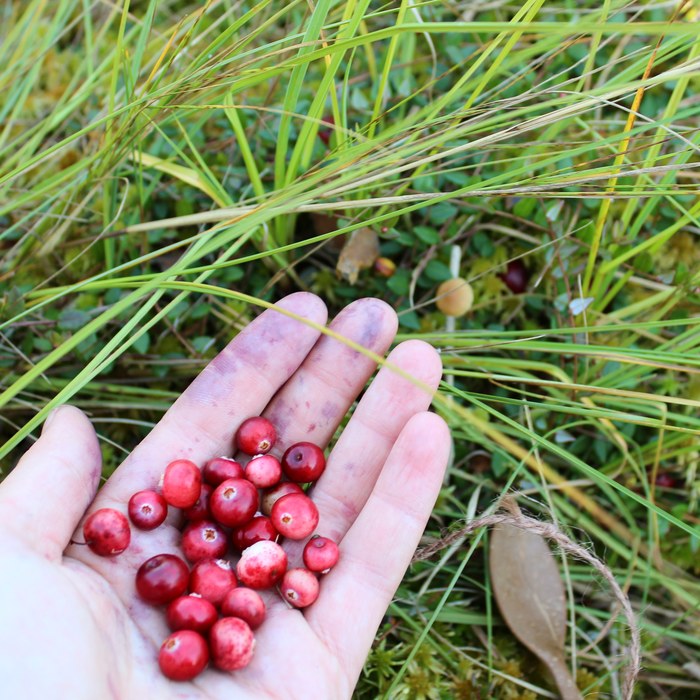 самые опасные блюда в мире. Смотреть фото самые опасные блюда в мире. Смотреть картинку самые опасные блюда в мире. Картинка про самые опасные блюда в мире. Фото самые опасные блюда в мире самые опасные блюда в мире. Смотреть фото самые опасные блюда в мире. Смотреть картинку самые опасные блюда в мире. Картинка про самые опасные блюда в мире. Фото самые опасные блюда в мире