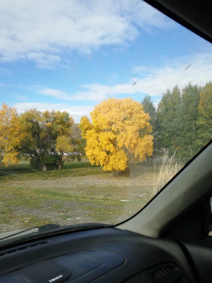 ������� �����