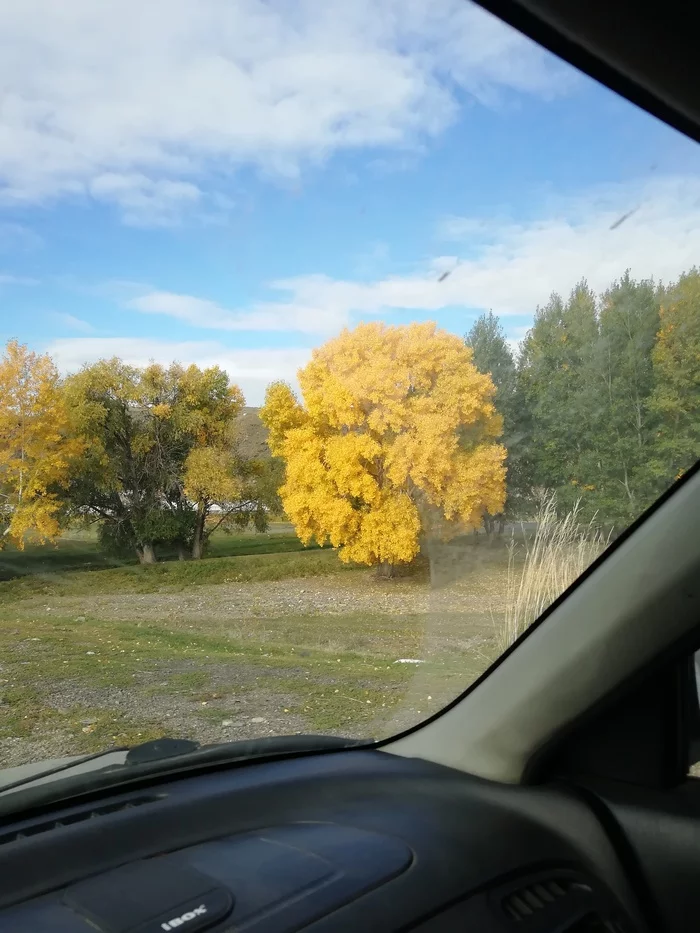 The beauty of autumn - Road, Tree, Autumn, My