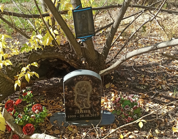 ������ ����