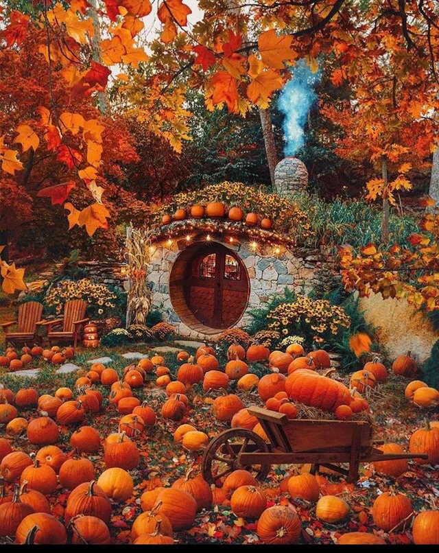 This place looks like a cozy hobbit house - The photo, Autumn, House, The hobbit, Pumpkin