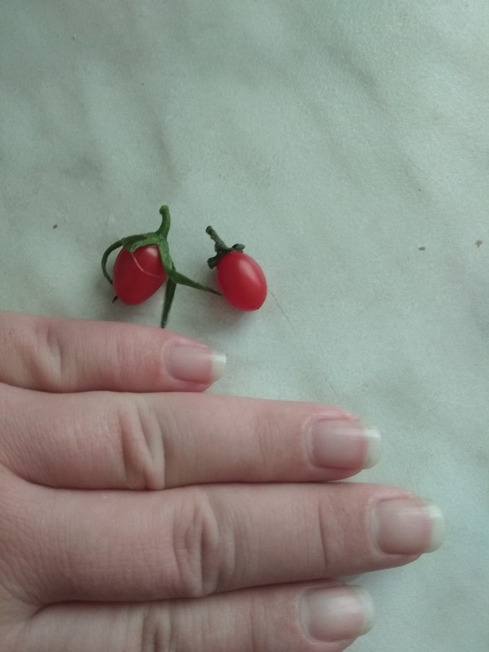 В ответ на пост "Урожай удался"