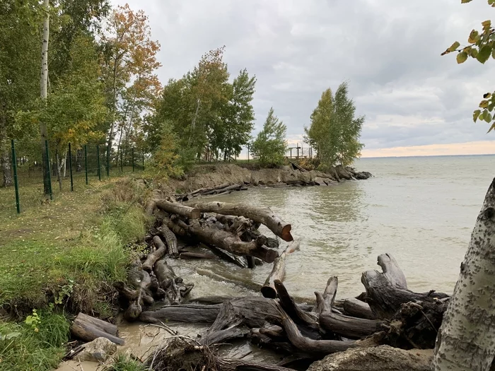 Novosibirsk reservoir.Autumn - My, Novosibirsk, Ob sea, Reservoir, Longpost, Nature