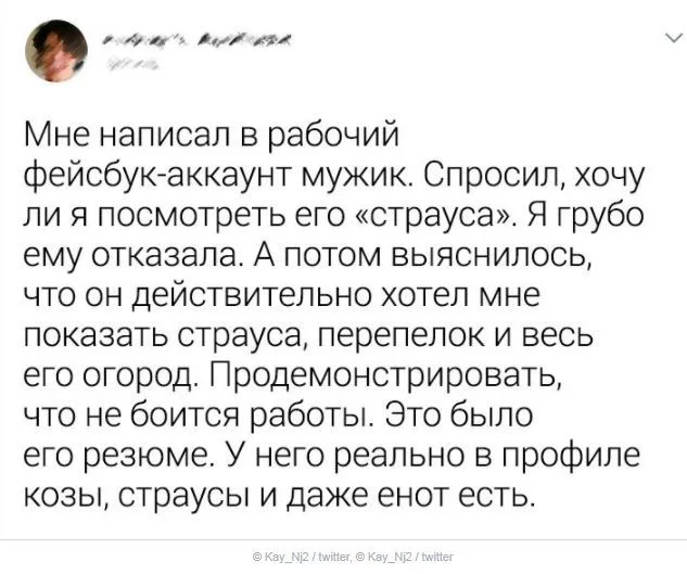 Надо было соглашаться - Facebook, Предложение, Страус, Отшила, Twitter, Скриншот