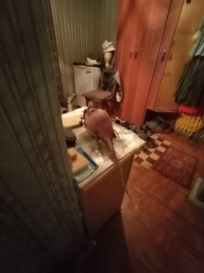  , , , , , , , 