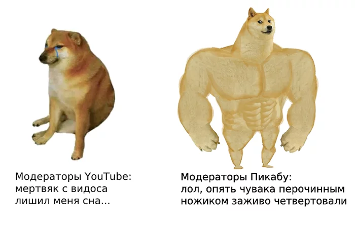 YouTube moderators vs Pikabu moderators - My, Moderator, Youtube, Doge, Black humor, Memes, Peekaboo