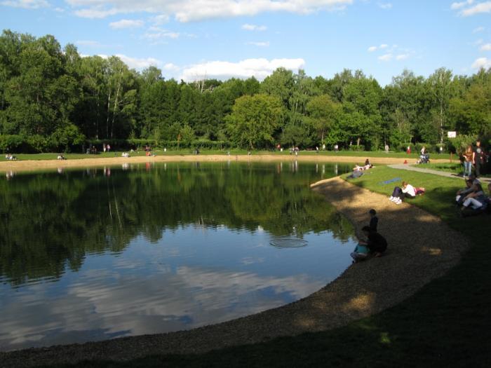Собачий пруд в Сокольниках спасен кабинетными тропами